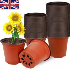 100 Garden Plastic Plant