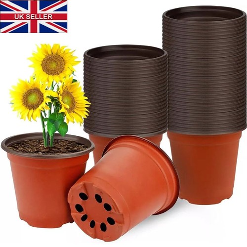 100 garden plastic - 100,