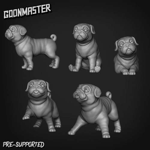 Pug familiar miniature - pug,