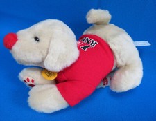 GOLDEN LABRADOR RETRIEVER