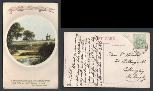 1910 kevii thornton bradford - 1910,