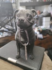 STAFFORDSHIRE BULL TERRIER