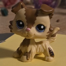 Littlest Pet shop.  Littlest Pet Shop Zig Zag Collie LPS #2210 Authentic