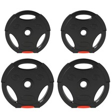 SPORTNOW Weight Plates Set for