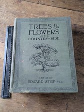 Trees And Flowers Of The