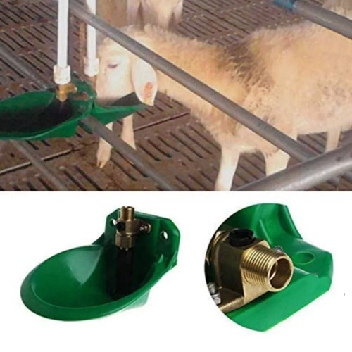 Automatic water bowl liquid - bowl,
