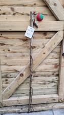 Twisted Twisty Wood Hazel