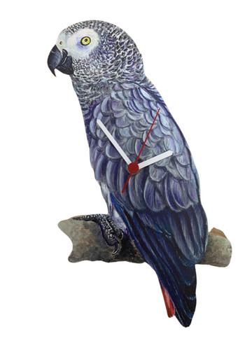 African grey parrot clock - african,