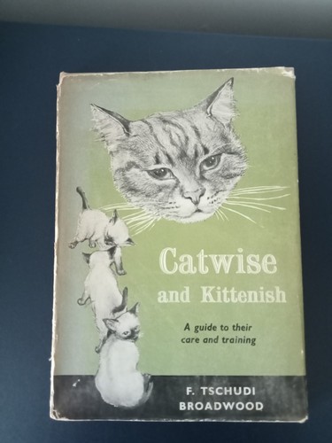 Catwise and kittenish felicity - and,