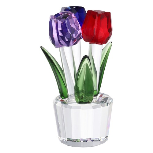 Crystal tulips flower - tulips,