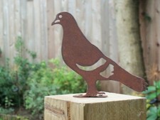 Rusty Metal PIGEON Bird Garden