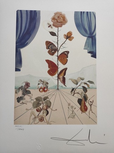 Salvador dali signed - salvador,