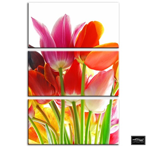 Tulips flowers floral box - flowers,
