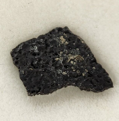 Hadrosaur egg shell fossil - shell,