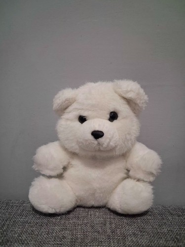 Small fluffy white teddy bear - small,