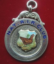 Attractive silver enamel rhode - attractive,