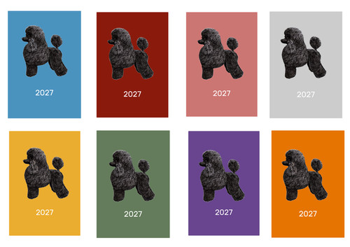 Poodle 2027 diary - 2027, diary:
