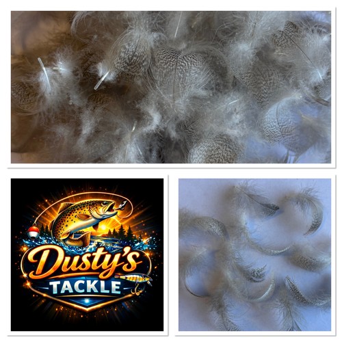 Mallard breast feathers 100 - mallard,