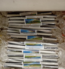 STICKS OF ROCK FROM THE COAST