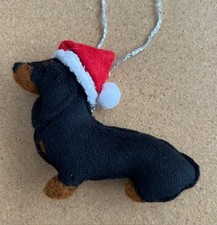 DACHSHUND with CHRISTMAS SANTA