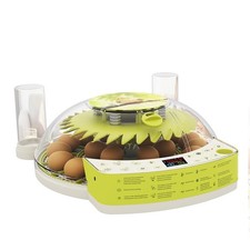 Egg incubator for hatching - egg,