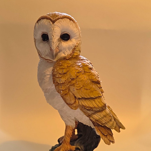The leonardo collection owl - collection,