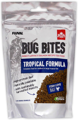 Bug bites tropical large - bites,