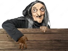 Witch Mask Snow White Queen As