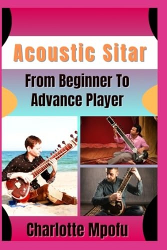 Acoustic sitar from beginner - acoustic,