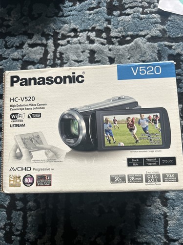 Panasonic v520 video camera - video,