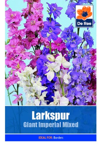 Ree flower plant seeds - /,