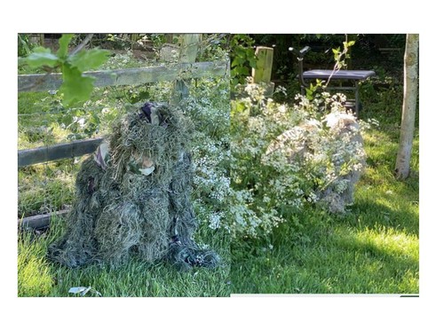 Ghillie suit desert forest - suit,