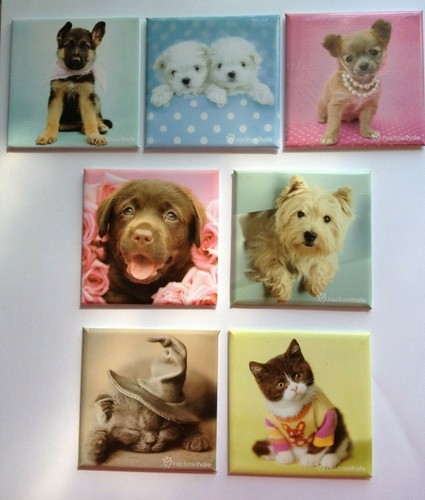 Dog puppy kitten magnet - magnet, by