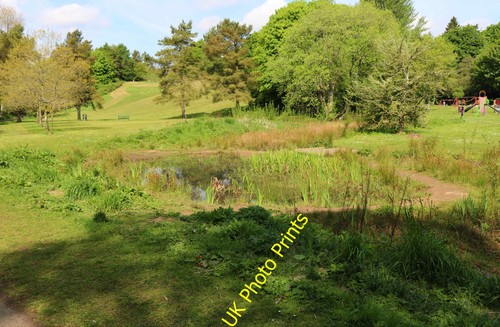 Photo wildlife pond - a2,