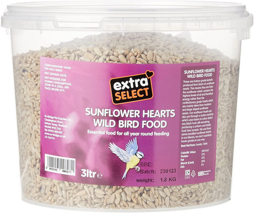 Sunflower hearts bird - sunflower,
