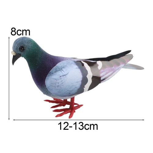 Simulation pigeon model - pigeon,