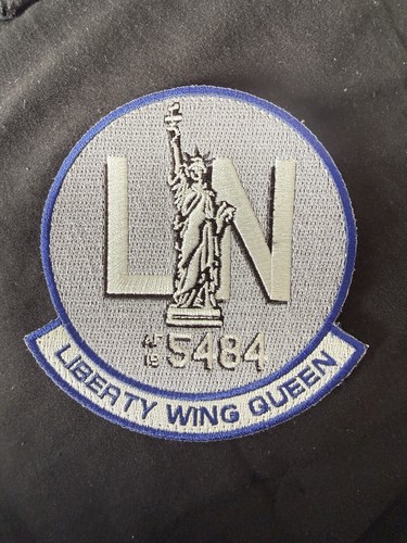 Usaf 495th patch - usaf,