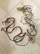 Bell fruit (scorpion 6