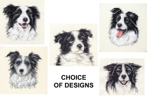 Border collie dog puppy - dog,,