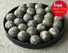 Tandoor Tandoori Plate 12" &