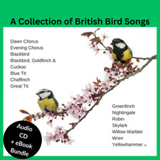 British Birdsong CD Individual Birds+Groups recognition Guide eBook and FREE MP3