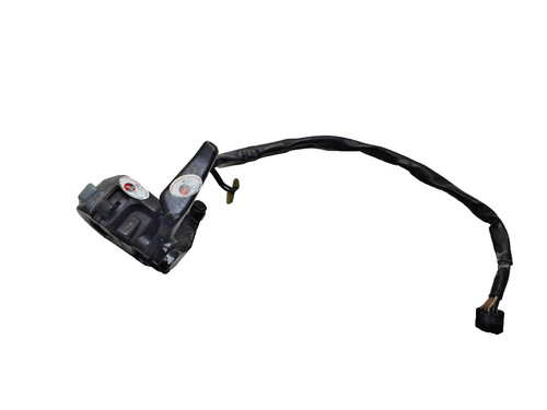 Left light switch assembly - left,