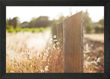 Fence Post Framed Wall Art