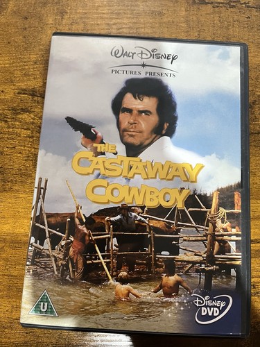 The castaway cowboy - the, 2004
