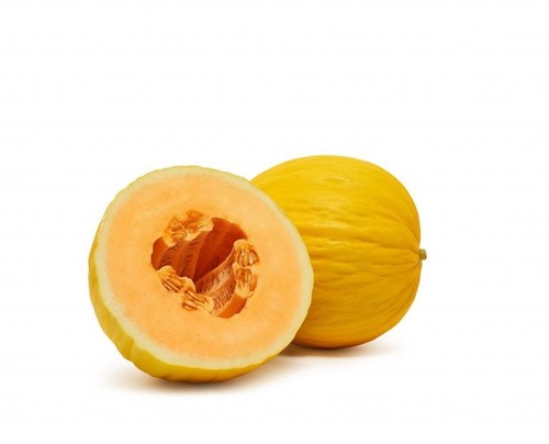 Orange candy melon - melon, x