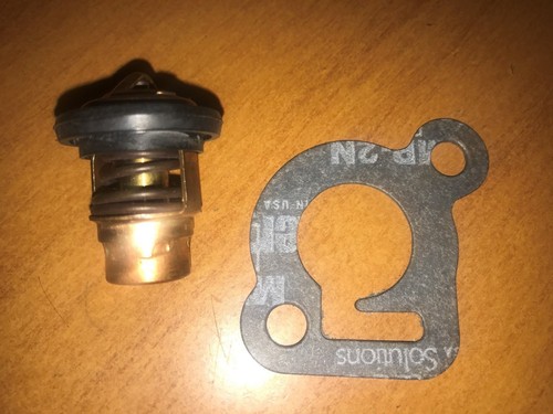 Genuine thermostat kit 6hp - kit, 8hp