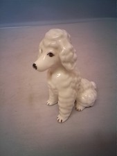 Vintage  White poodle Sitting