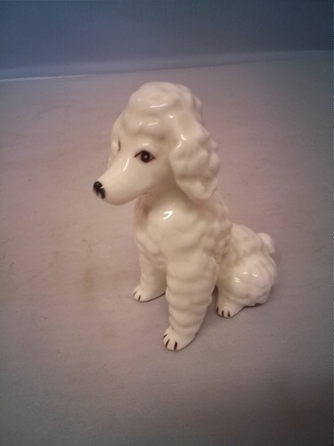 Vintage white poodle - vintage,