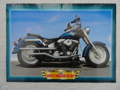 Harley davidson fat boy - davidson,