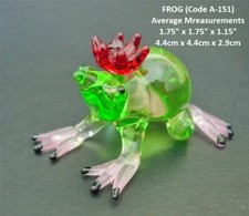 Multi GLASS FROG Beautiful